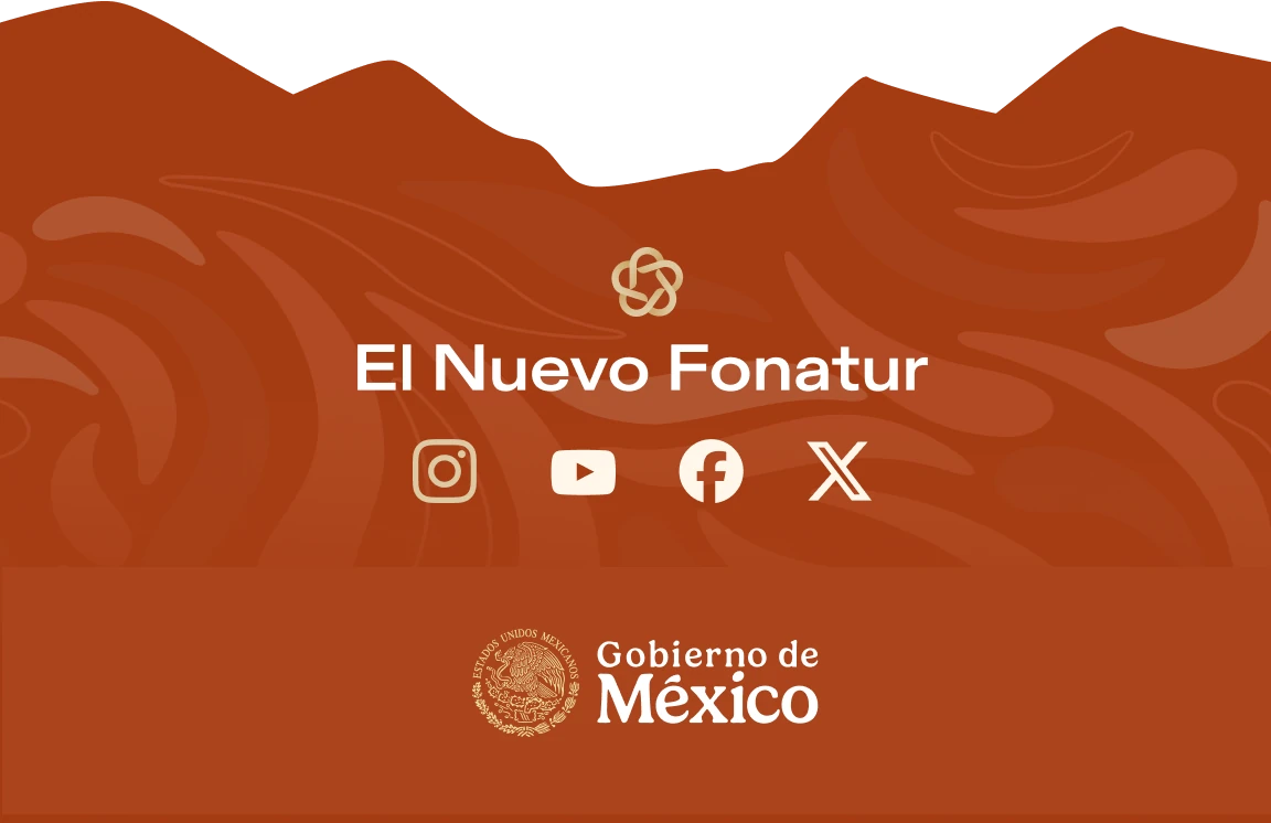 Innovación