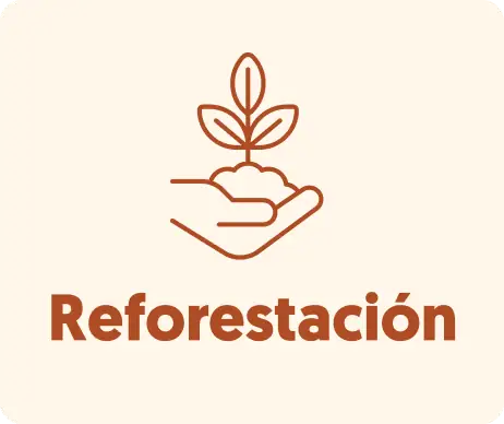 Mantenimiento urbano